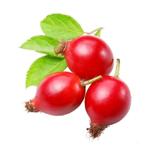 Rose Hip  Oil